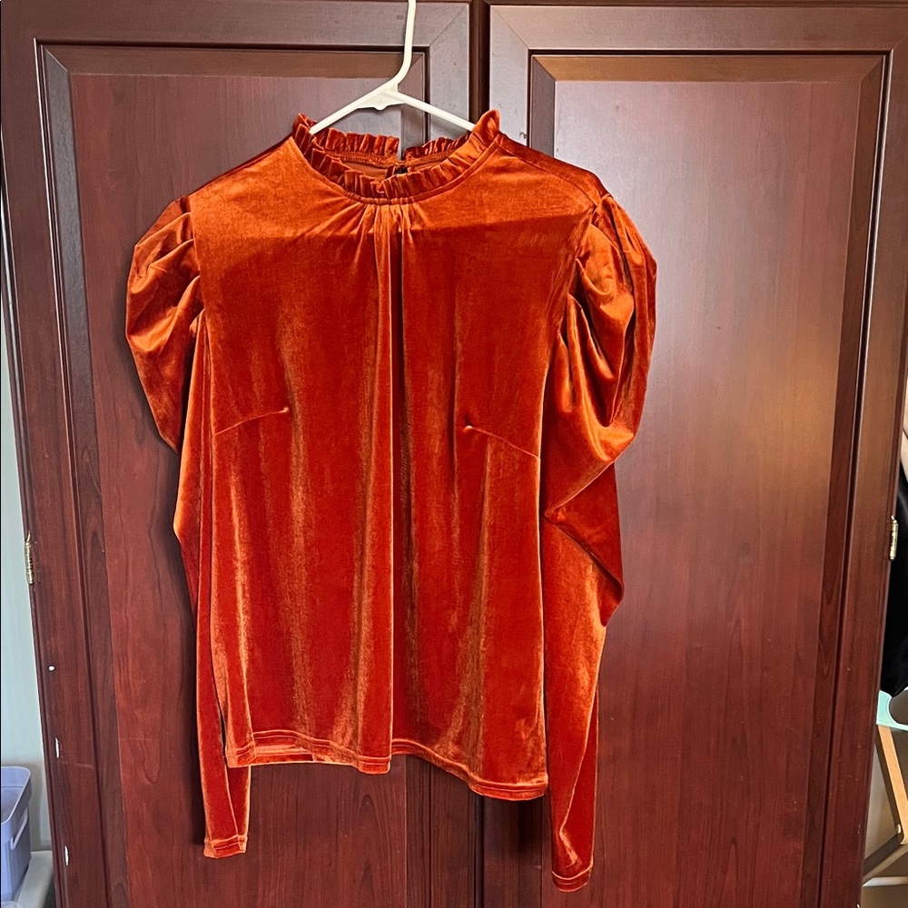 Elegant Velvet Rust Top
